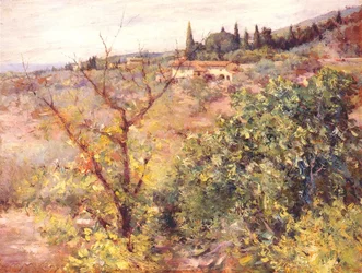 Widok Fiesolen